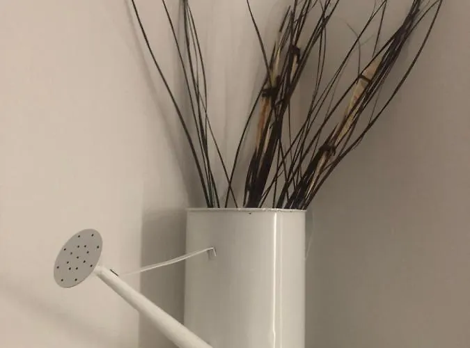 Affittacamere Myroom Sui Portici Bologna